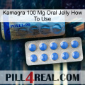 Kamagra 100 Mg Oral Jelly How To Use 40